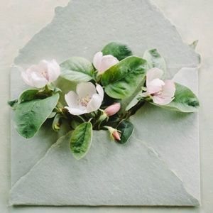 Meet your Posher, Kristin